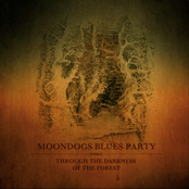 Through the darkness of the forest