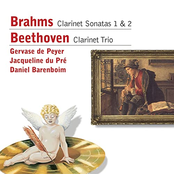 Brahms: Clarinet Sonatas 1 & 2 - Beethoven: Clarinet Trio