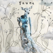 Fauna