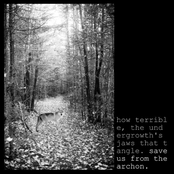 How Terrible, the Undergrowth's Jaws That Tangle