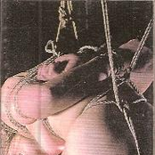 Vaginal Disco