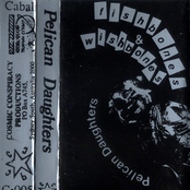 Fishbones & Wishbones