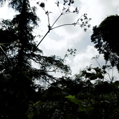 abrasive towards myself