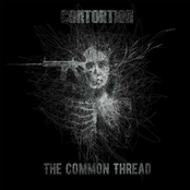 Contortion: The Common Thread