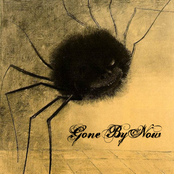 Long Awaited Memory/Never Again