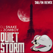 Quiet Storm (Dolfin Remix)