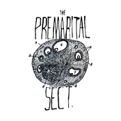 Simulated Beaverskin Cloak