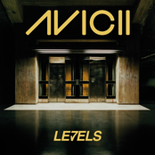 Avicii: Levels