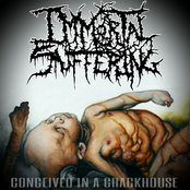 Immortal Suffering: conceived in a crackhouse