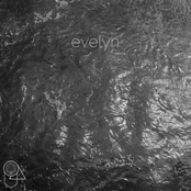 Evelyn