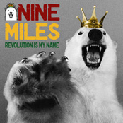 Word Of Mouth by Nine Miles