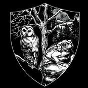 Marblebog / Hexenwood