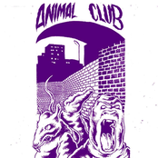 animal club