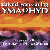 Y Pedwar Cae by Dafydd Iwan Ac Ar Log