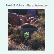 David Gans: Solo Acoustic