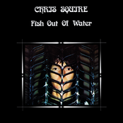 You By My Side by Chris Squire