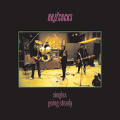 Buzzcocks - Singles Going Steady Artwork