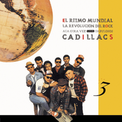 Tengo Solamente Dos Maneras De Estar Cerca Del Cielo by Los Fabulosos Cadillacs