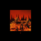 LP1