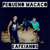 Pequeno Macaco