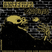 Portuguese Swedish Hardcore Punk Raw Pollution