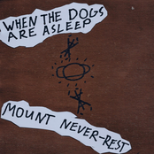 When The Dogs Are Asleep / Mount Never-Rest
