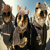 imaginary anomaly // see us waving