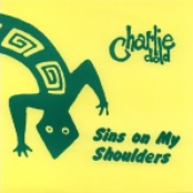 Sins On My Shoulders 7"