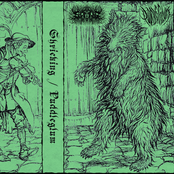 Puddleglum / S H R I E K I N G split