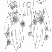 Dandelion Hands: 19