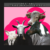 Transumanza Express