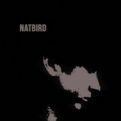 natbird