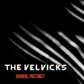 Animal Instinct