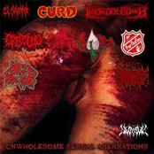 Unwholesome Sexual Aberrations