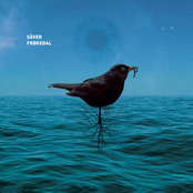 Sâver Frøkedal Split EP