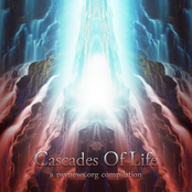 Cascades Of Life