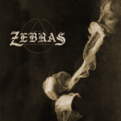 The Dying Sea by Zebras