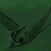 Rhamphorhynchus