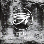 Marrakesh Night Market