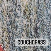 King Camden Took A Brush And Drowned His Hair In Gasoline