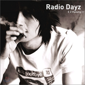radio dayz