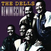 The Whole Truth by The Dells