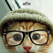 Alfie - Single