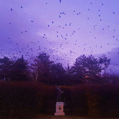 Roderick Porter: Ghost (feat. Ivri)