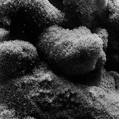 Somewhere & Somebody