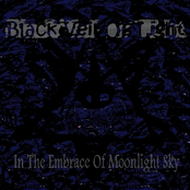 In The Embrace Of Moonlight Sky