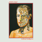 Satellite Walk by John Cale