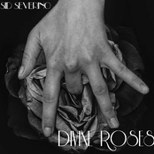 Divine Roses
