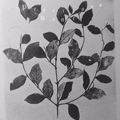 canticle of the serpent