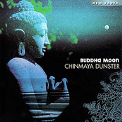 Waning Moon by Chinmaya Dunster